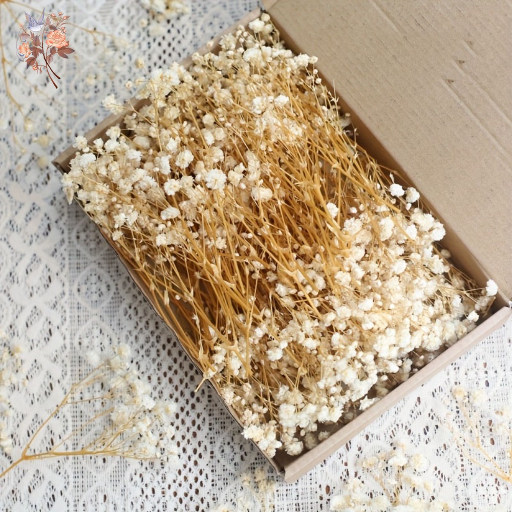 Craft Embellishment - 100 Piezas de Flores Secas de